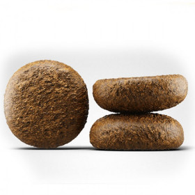 JOSERA Active Nature Пълноценна храна с Aгне и Oриз за израснали активни кучета  за подпомагане на активни кучета без глутен 15 кг 